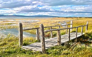 興城市馬術有限責任公司